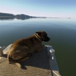 Day 0 - Reconnaissance