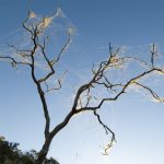 Day 0 - Reconnaissance