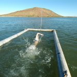 lake argyle-day20002